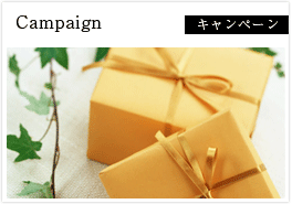 Campaign｜知多市の美容院・美容室 - CLOVERS